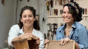 Mel i llimona artesania